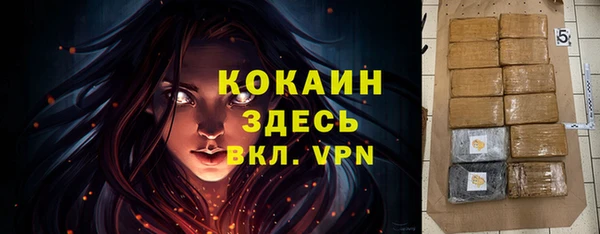 apvp Алзамай