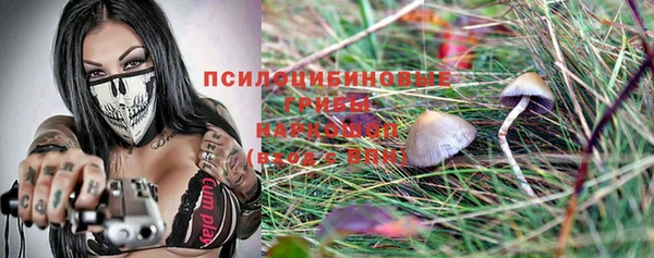 apvp Алзамай