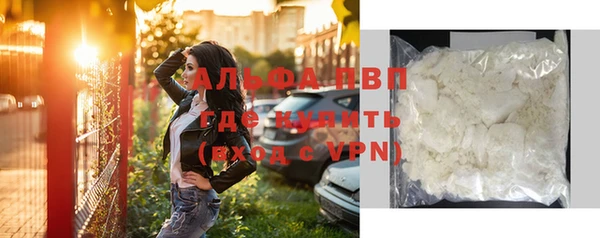apvp Алзамай
